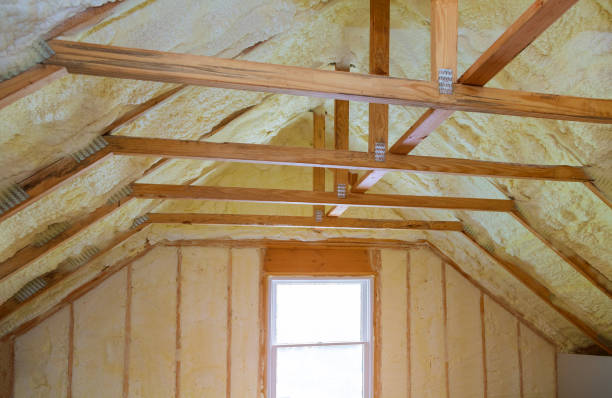 Best Attic Insulation Installation  in Federal Y, WA